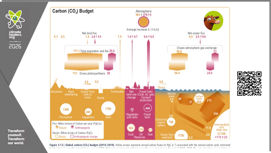 Figure showing the Global Carbon Budget from the UN Intergovernmental Panel on Climate Change