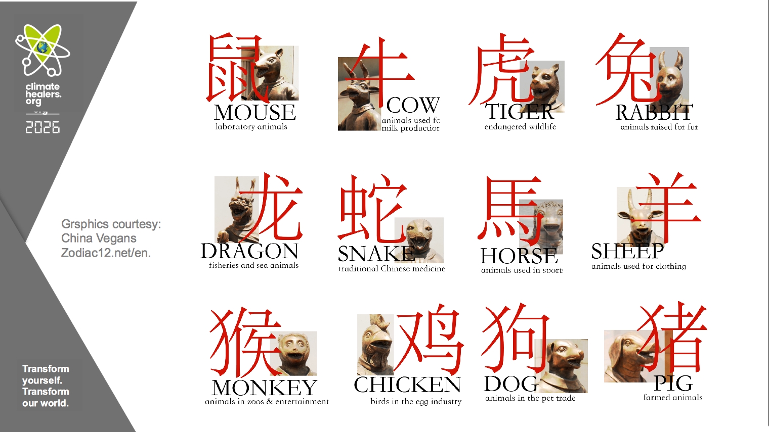 the chinese zodiac and its association with animal use